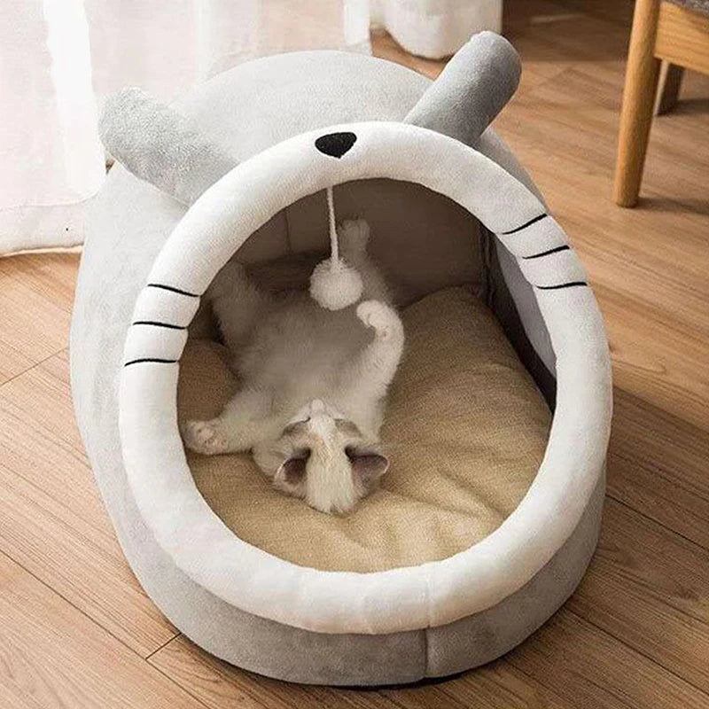 Foldable, Removable, Washable Bed for Small Pets